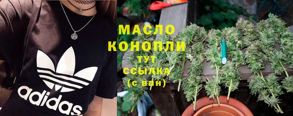 сатива Лагань
