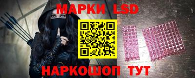 шишки Изобильный