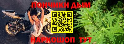 шишки Изобильный