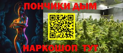 шишки Изобильный