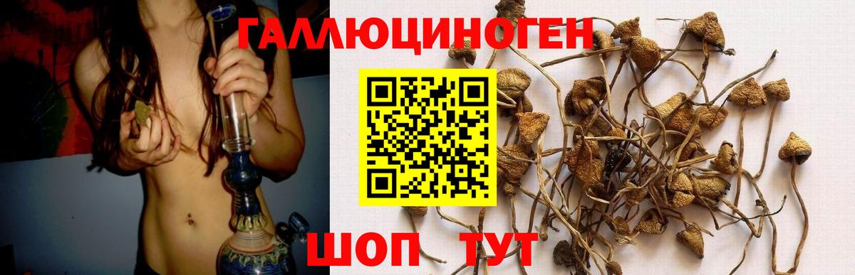 Галлюциногенные грибы Magic Shrooms  где купить наркотик  Лангепас 